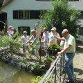 Führung durch die Grüninger Altstadt: Mühleweiher mit Brunnen
